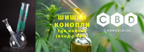 эйфоретик Осташков