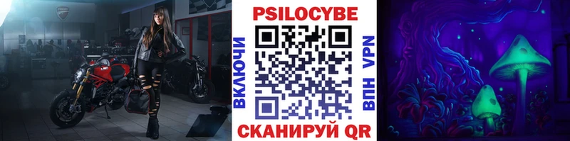 Галлюциногенные грибы Cubensis  Приволжск 