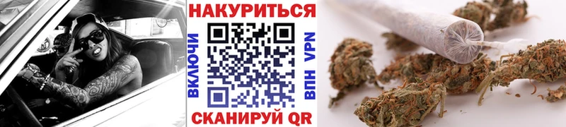 купить наркотики цена  Приволжск  Шишки марихуана SATIVA & INDICA 